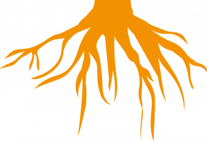 Wurzel icon 300x300